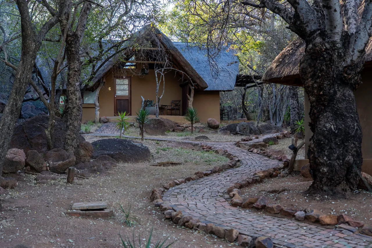 Curved stone path leading through trees to a thatched chalet