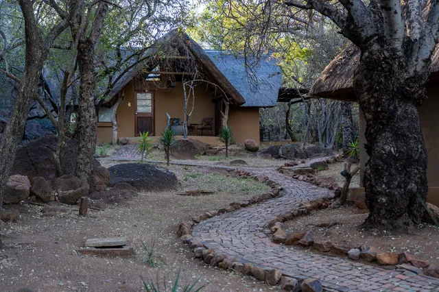 Curved stone path leading through trees to a thatched chalet