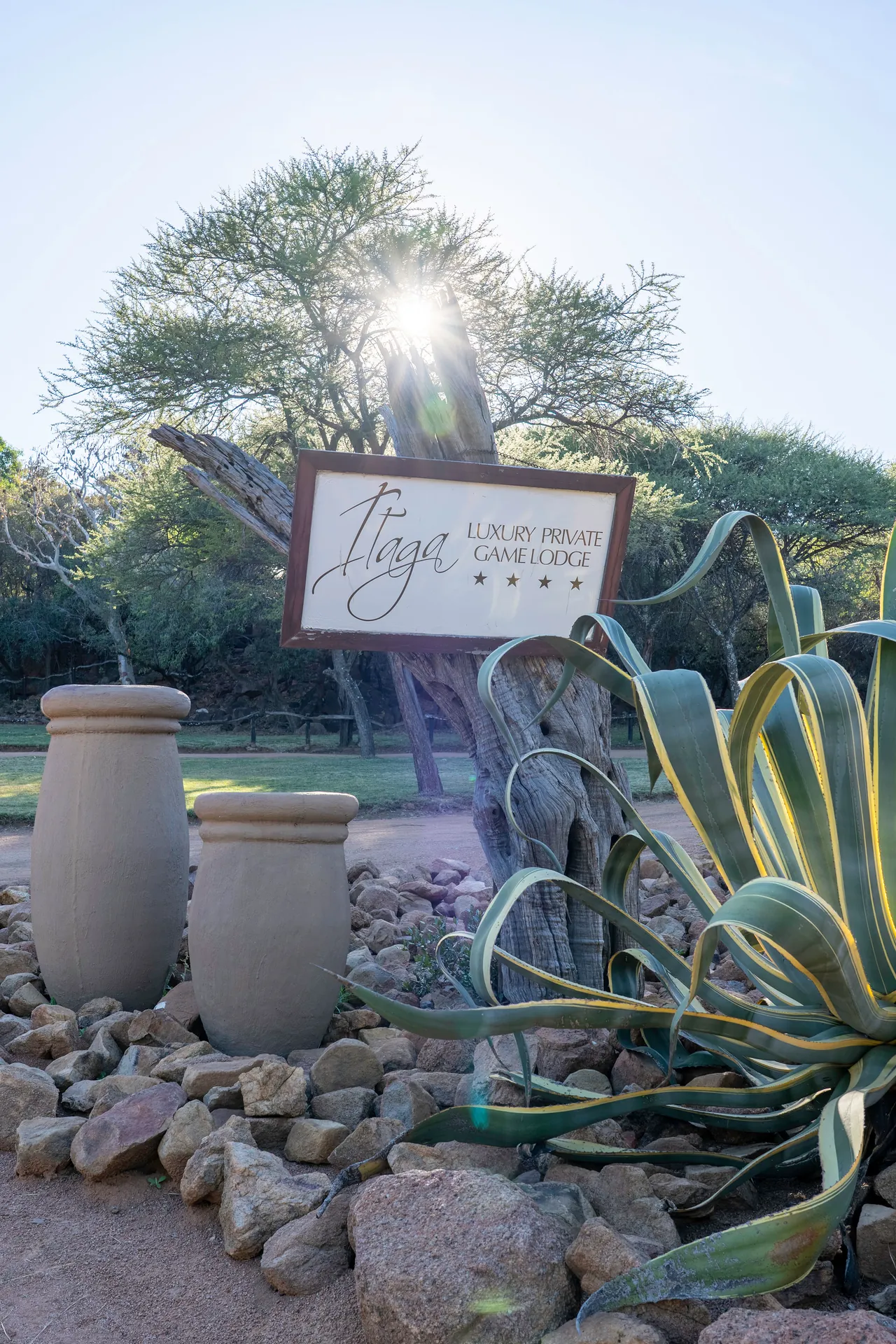 The Itaga sign among succulents and aloes at the entrance, sun behind