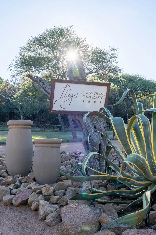 Itaga entrance sign among aloes and stone urns in morning sun