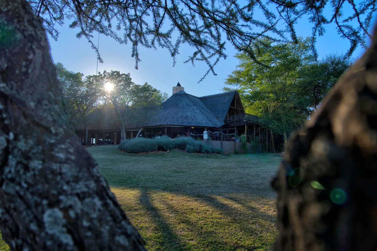 Itaga's thatched main lodge seen between tree trunks in late sun