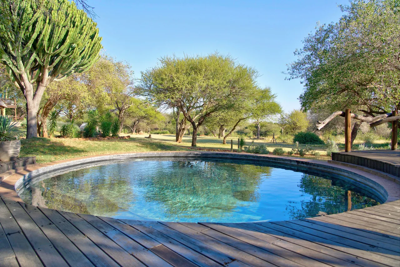 Circular pool edged with timber decking, acacia trees behind